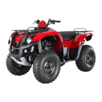 Preview: Sym Quad Lander 600