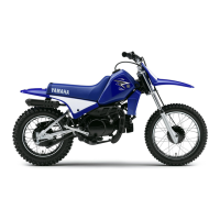 Preview: Yamaha PW80