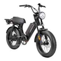 Preview: Juiced Bikes SCORPION X2