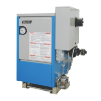 Preview: Slant/Fin VICTORY II