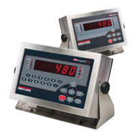 Preview: Rice Lake RL-480