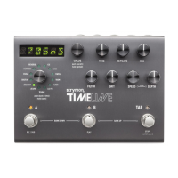 Preview: Strymon TimeLine
