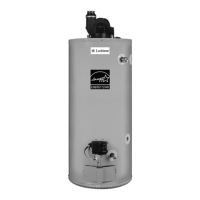 Preview: Lochinvar 300