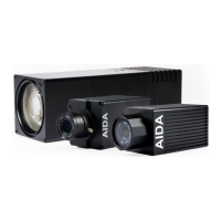 Preview: AIDA NDI3 POV