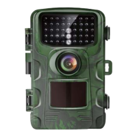 Preview: Letscom DL-1