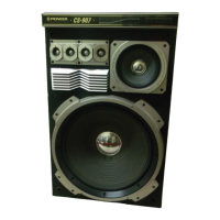 Preview: Pioneer CS-907 G
