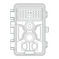 Preview: BlazeVideo A262