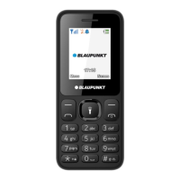 Preview: Blaupunkt V18