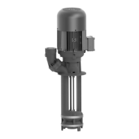 Preview: BRINKMANN PUMPS STA901/200