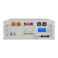 Preview: SOK SK48 V100