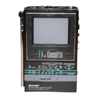 Preview: Sharp JC-AV1