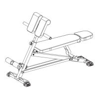 Preview: FLYBIRD RMC-01