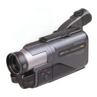 Preview: Hitachi VM-H80E