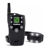 Preview: DogWatch BIGLEASH