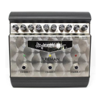 Preview: Hughes & Kettner tubeman