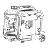 Preview: Westinghouse iGen4000DFcv