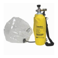 Preview: MSA TransAire