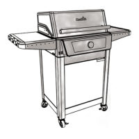 Preview: Char-Broil EVOLVE 24659999