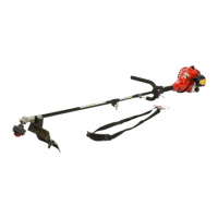 Preview: Homelite HBC25SJSN