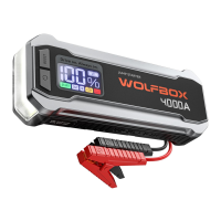 Preview: Wolfbox MegaVolt24