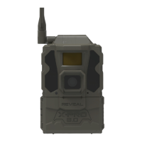 Preview: Reveal PRO3