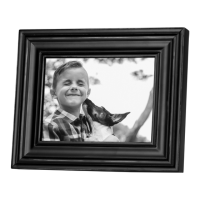 Preview: Polaroid PDF-800DB