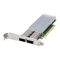 Preview: Intel E810-CQDA2 T