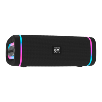 Preview: SoundMax SM-PS5019B