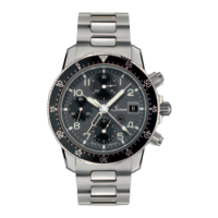 Preview: Sinn 103 series