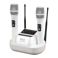 Preview: Pyle PDWM3100