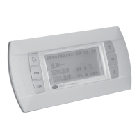 Preview: Carel PGD1000W00