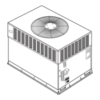 Preview: Carrier 48 XP024
