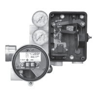 Preview: Flowserve NT3000 Series