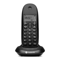 Preview: Motorola C1001CB+