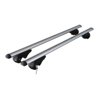 Preview: CAR FACE DO CFRB004 A