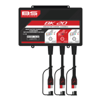 Preview: BS BATTERY BK 20