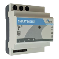 Preview: elgris SMART METER LAN