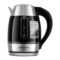 Preview: BRAYER BR1085