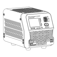 Preview: Skyrc BD380