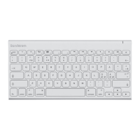 Preview: Sandstrom SKBWHBT16