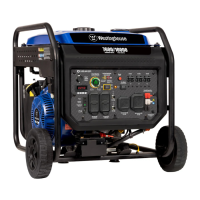 Preview: Westinghouse ecoGen10000