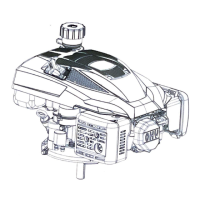 Preview: YARDMAX RV200Pro