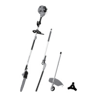 Preview: Bestgreen SLN43F