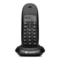 Preview: Motorola C1CB+