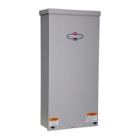 Preview: Briggs & Stratton 100SED Series