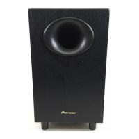 Preview: Pioneer S-W20