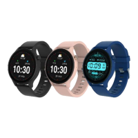 Preview: Denver SWC-338 BU