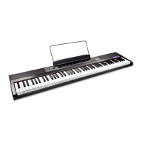 Preview: RockJam RJ88DP