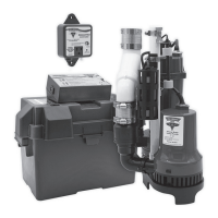 Preview: Pro Series Pumps PS-C22