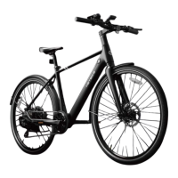 Preview: Heybike EC 1